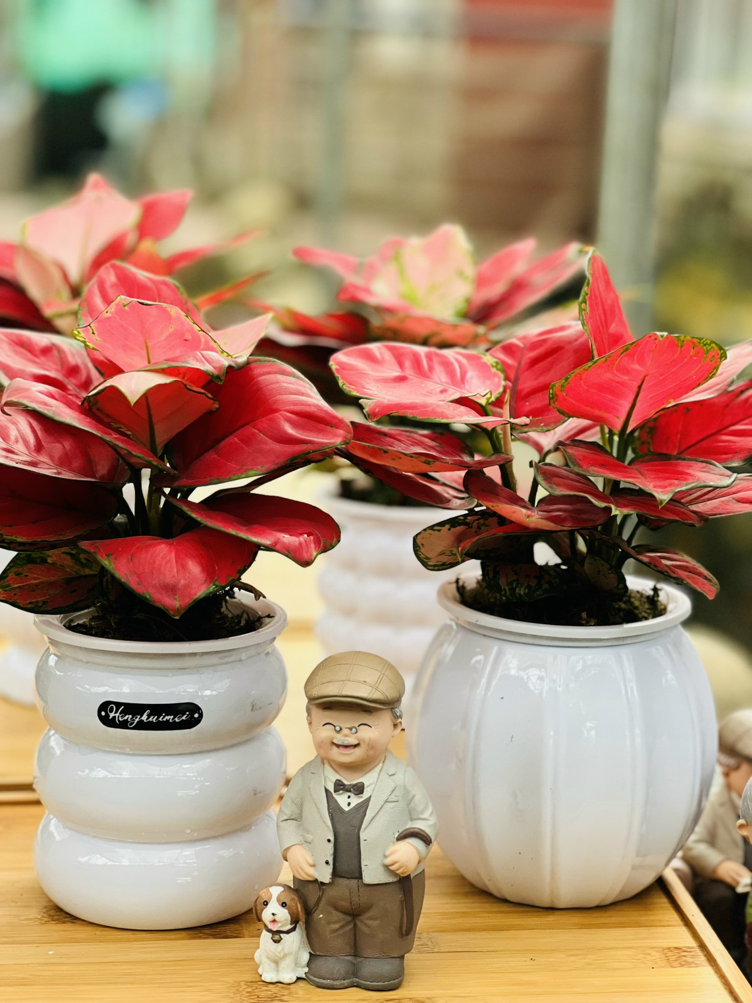 z5250566101671_89f54dc01a80c07adc7d15f197b58045