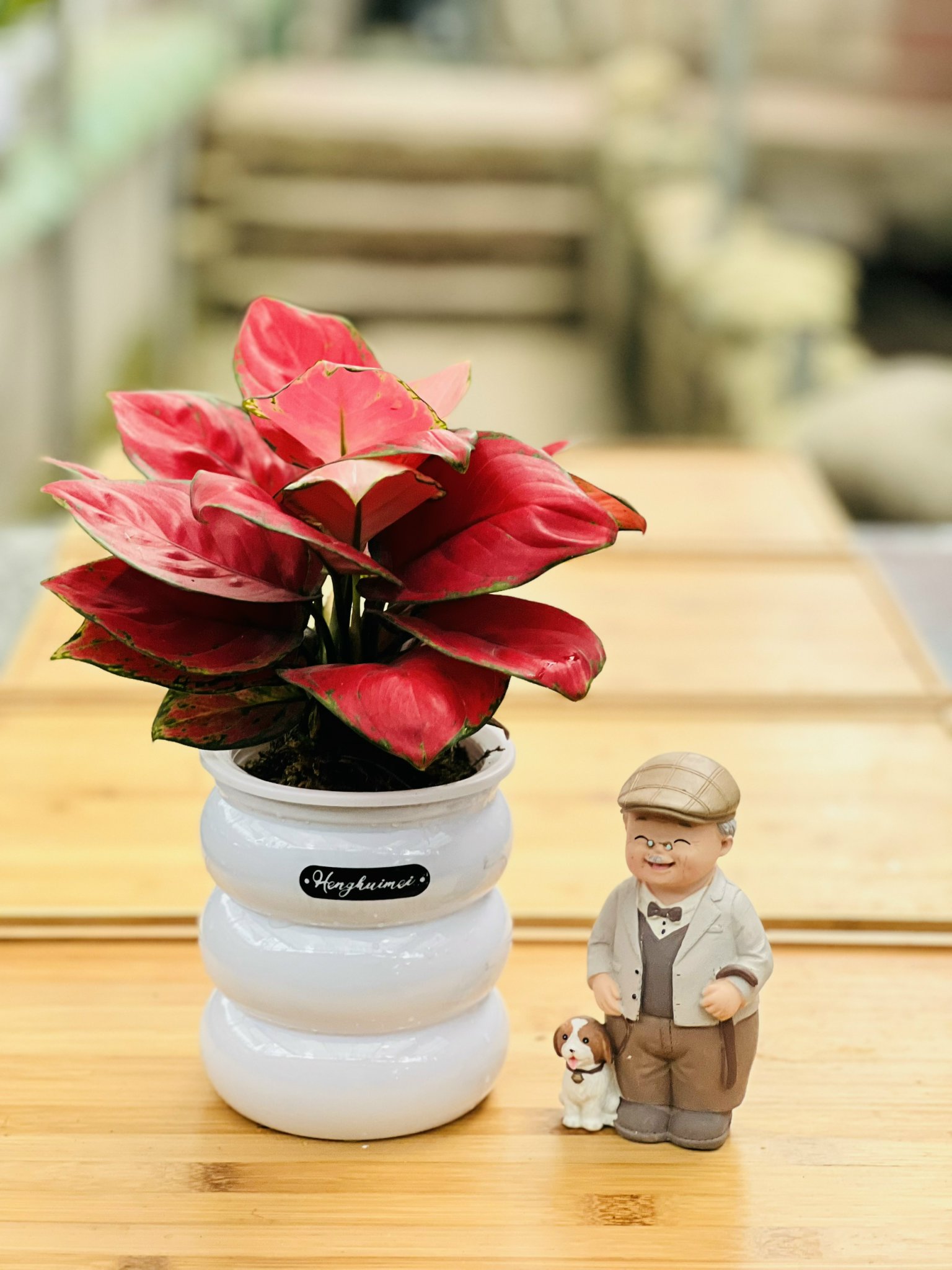 z5250566116365_228862f89f056d6cfe5dec4d39f33510