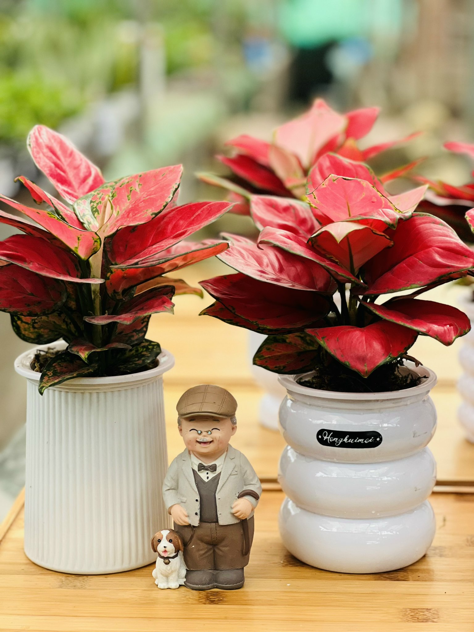 z5250566123118_2a82928cbb2a008d8bbd8ce372661325