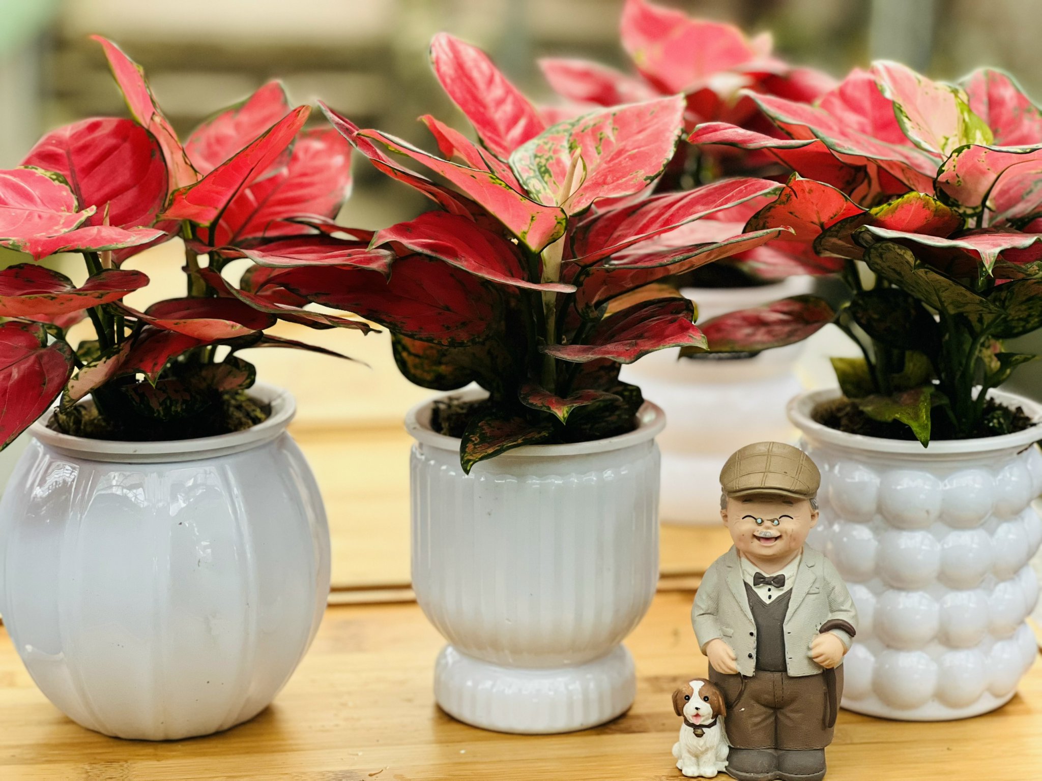 z5250566163412_073ef6876851c16cd71ab333b41b5a81